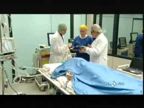Il miracolo della morte cerebrale.